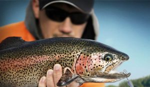 Wild Trout Lures | Panther Martin