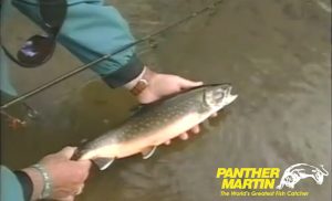 Catch Arctic Char with Panther Martin Spinners