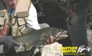 Catching Lake Trout with Panther Martin Spinners